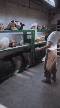 Skz Stay GIF