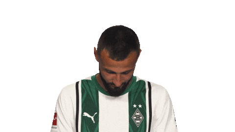 Look Up Borussia Moenchengladbach Sticker by Bundesliga
