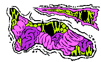 eatrotten feedyourfreak rottengummyworms eatrotten letitrot Sticker
