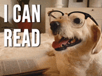 Read A Book Awww GIF by Sealed With A GIF