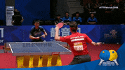 table tennis GIF by ITTFWorld