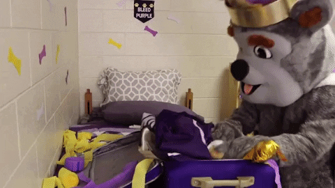 Travel College GIF by James Madison University
