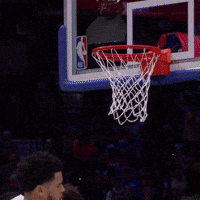 Celly GIF by New York Knicks
