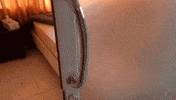 cats bed GIF
