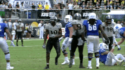ucf football GIF by UCF Knights