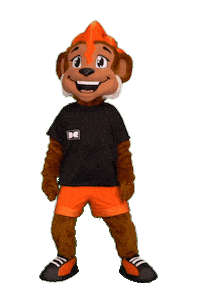 Wave Gymnastics Sticker by DutchGymnasticsKNGU