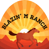 Horse Gallop GIF by BlazinMRanch