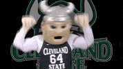 horizonleague cleveland state cleveland state mascot 2 GIF