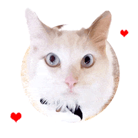 IXSERA cat larry bolts eb Sticker