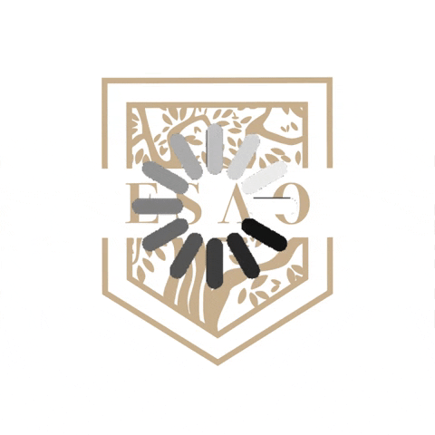 oaselleda giphygifmaker giphyattribution GIF