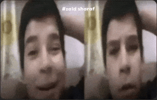 Surprise Zaid GIF