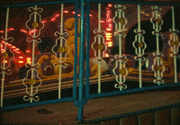 GIF by Alex Vaughn