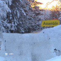 Rallying Rally Sweden GIF by FIA World Rally Championship