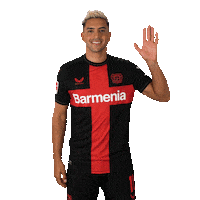 Good Morning Smile Sticker by Bayer 04 Leverkusen