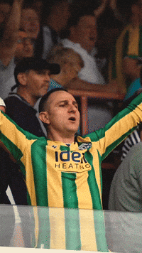 West Brom Wba GIF by West Bromwich Albion