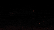 Elder Scrolls Oblivion GIF by Bethesda