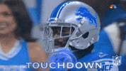 Detroit Lions Football GIF by NFL