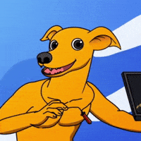 Shiba Inu Surfing GIF by MILLI