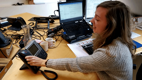 vredeseilanden rikolto GIF