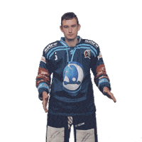 Hockey Applause Sticker by HC Škoda Plzeň