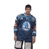 Hockey Swipe Up Sticker by HC Škoda Plzeň