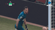 Goalkeeper Epl GIF by MolaTV