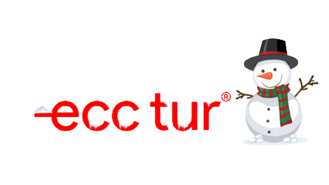 Snow Winter Sticker by Ecc tur