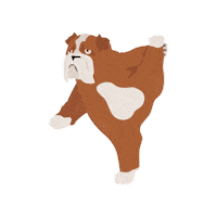 Dog Ballet Sticker by bulldogclub