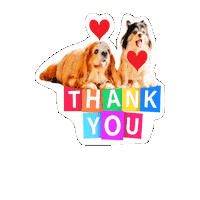 Cavalierkingcharlesspaniel Love Sticker