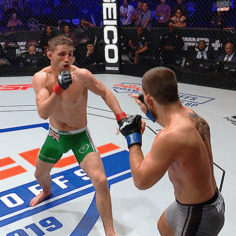pflmma giphyupload mma kick ouch GIF