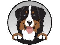 BARKHAVEN barkhaven barkhavendogbar barkhavendogs dogparkbar Sticker