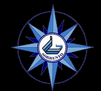 alilaurogruson boat capri sorrento alilauro GIF