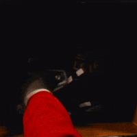 Fight On College Football GIF by BLVD Studios