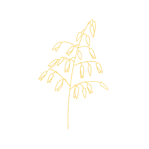 Surdeig Sticker by Dalheim Gaard
