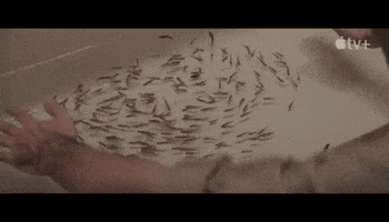 Apple Tv 60S GIF by Alma Har'el