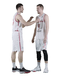 Martin Shirt Sticker by Swiss Basketball