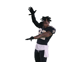 Celebrate Saints Football Sticker by New Orleans Saints