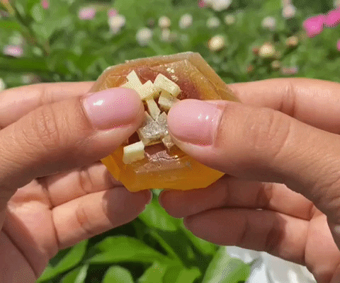fromgiaa giphygifmaker GIF