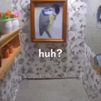 Shocked GIF