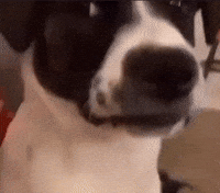 Boring GIF