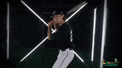 Tulane Rollwave GIF by GreenWave