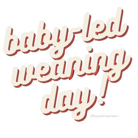 Blw Sticker by Baby-Led Wean Team