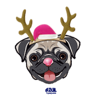christmas pug Sticker by Jose Cuervo
