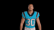 Happy Lets Go GIF by Carolina Panthers