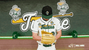 College Baseball Jackson GIF by GreenWave
