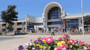 Otc Myotc GIF by Ozarks Technical Community College