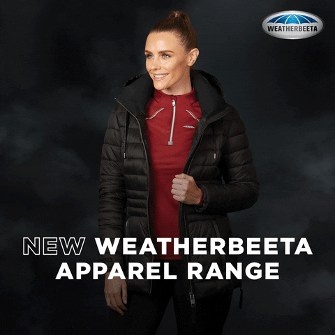 WeatherBeeta giphyupload GIF