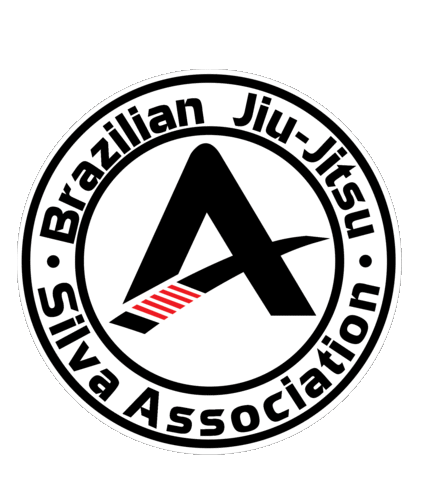 Fight Fighting Sticker by SilvaBJJ