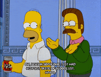 homer simpson episode 10 GIF