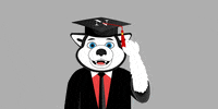 Likeahusky GIF by Northeastern University